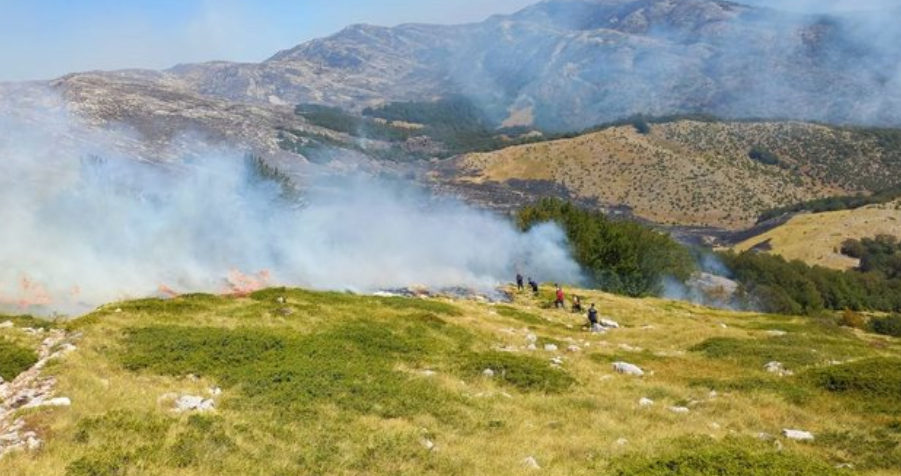 Zjarri në Parkun Kombëtar të Prespës del jashtë kontrollit, kërkohet ndërhyrje e menjëhershme